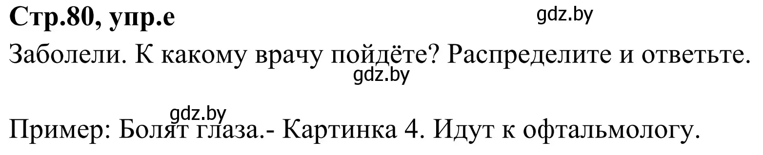 Решение номер 3e (страница 80) гдз по немецкому языку 5 класс Будько, Урбанович, учебник 1 часть