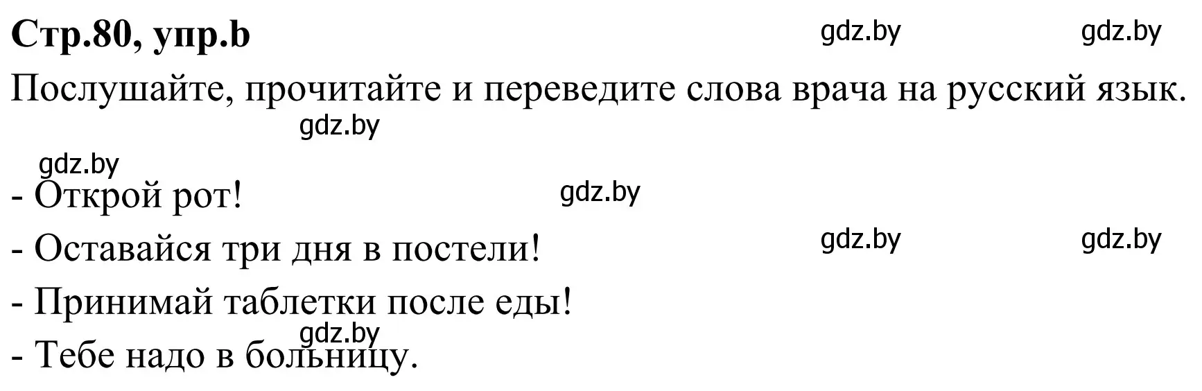 Решение номер 4b (страница 80) гдз по немецкому языку 5 класс Будько, Урбанович, учебник 1 часть