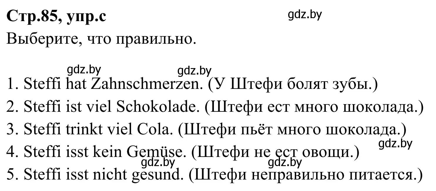 Решение номер 8c (страница 85) гдз по немецкому языку 5 класс Будько, Урбанович, учебник 1 часть