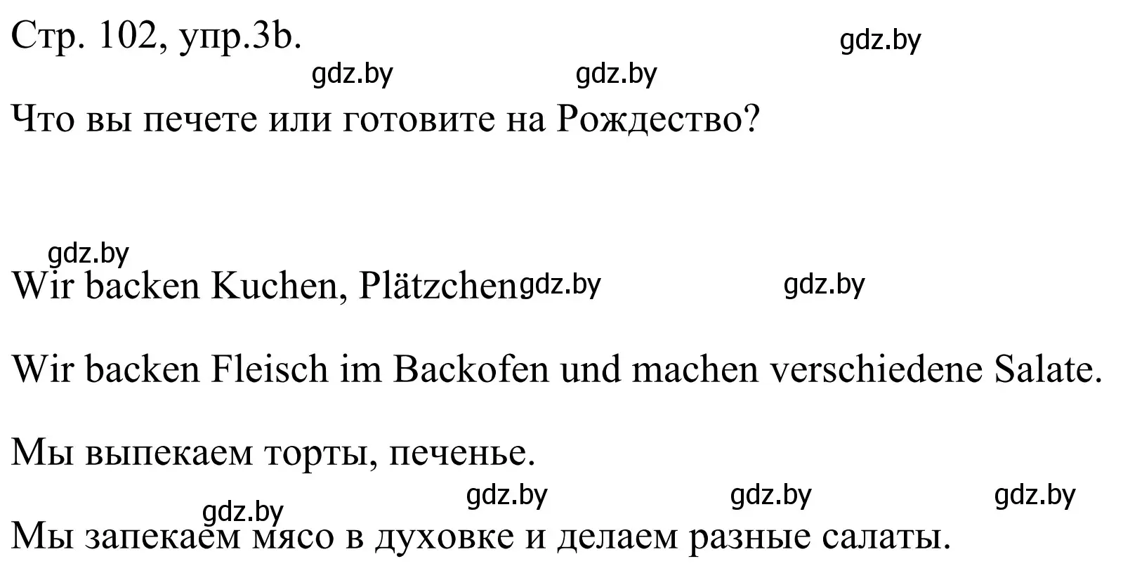 Решение номер 3b (страница 102) гдз по немецкому языку 5 класс Будько, Урбанович, учебник 1 часть