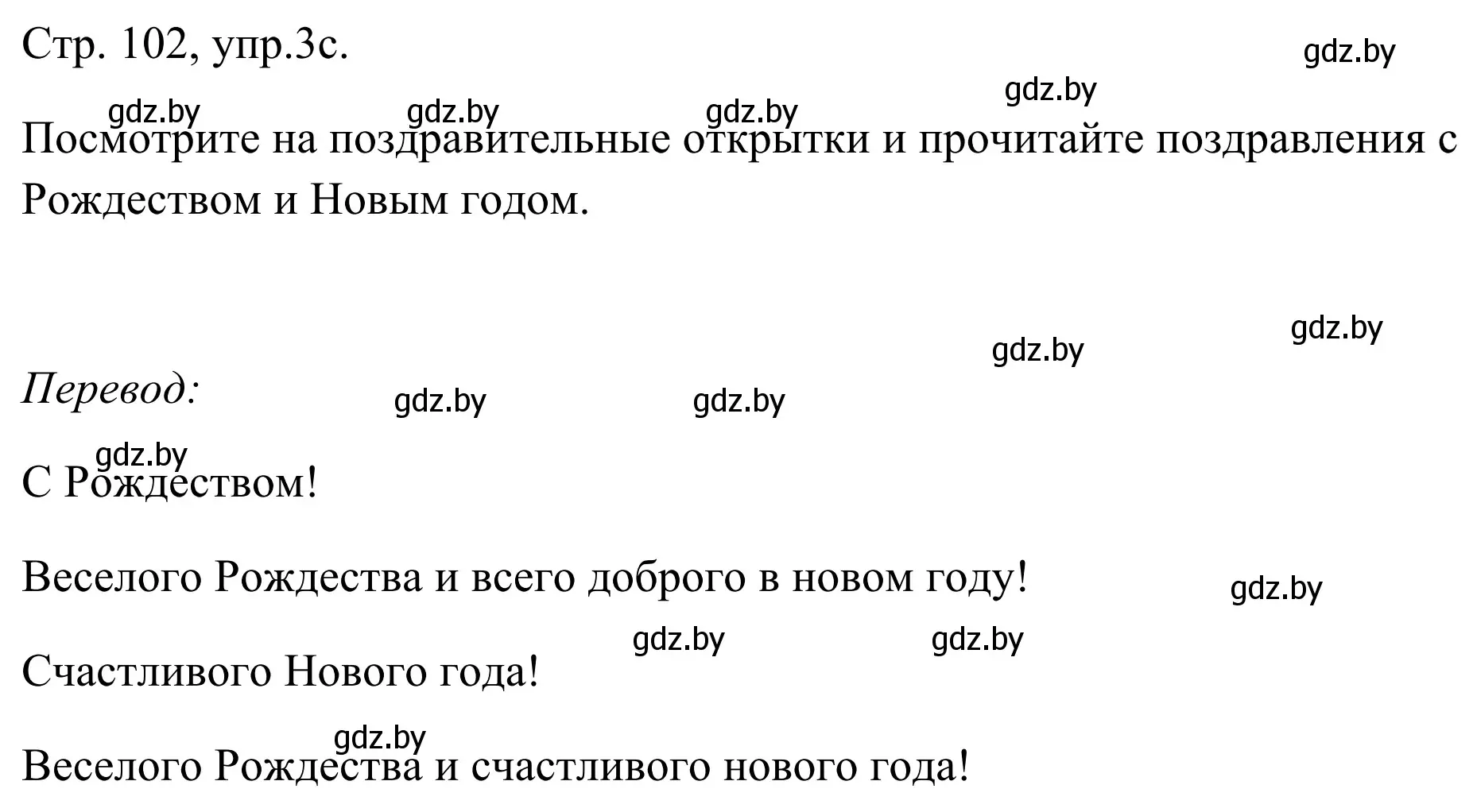 Решение номер 3c (страница 102) гдз по немецкому языку 5 класс Будько, Урбанович, учебник 1 часть