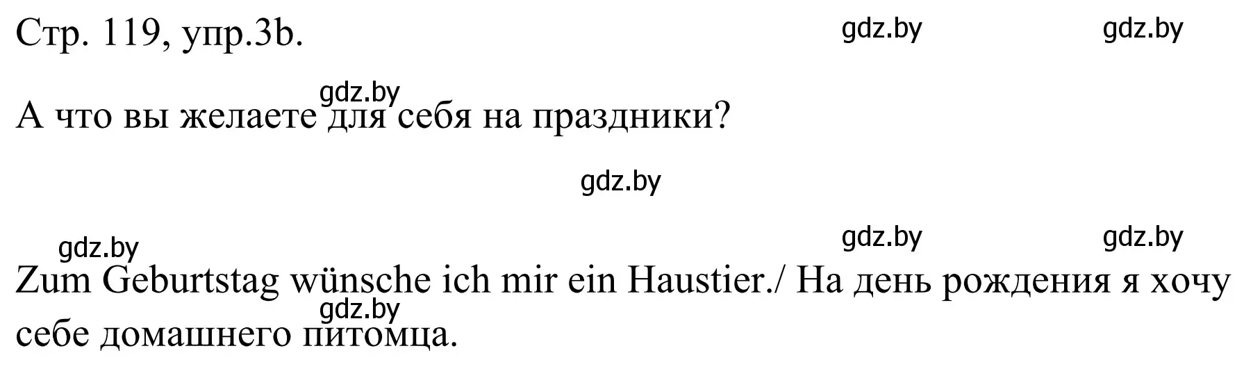 Решение номер 3b (страница 119) гдз по немецкому языку 5 класс Будько, Урбанович, учебник 1 часть