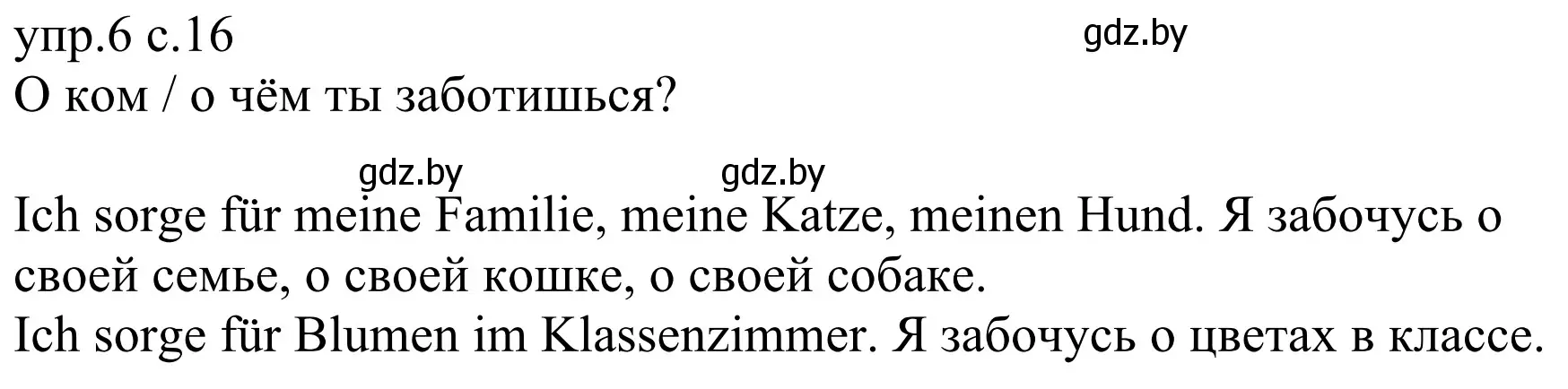 Решение номер 6 (страница 16) гдз по немецкому языку 6 класс Будько, Урбанович, рабочая тетрадь