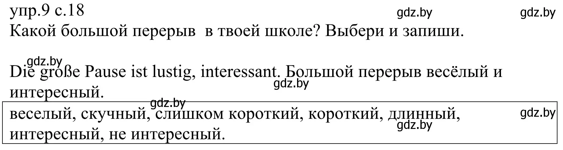 Решение номер 9 (страница 18) гдз по немецкому языку 6 класс Будько, Урбанович, рабочая тетрадь