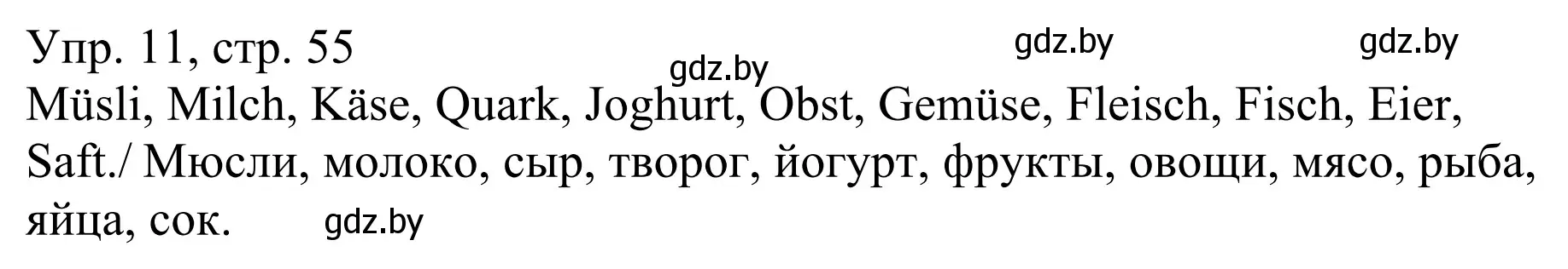 Решение номер 11 (страница 55) гдз по немецкому языку 6 класс Будько, Урбанович, рабочая тетрадь