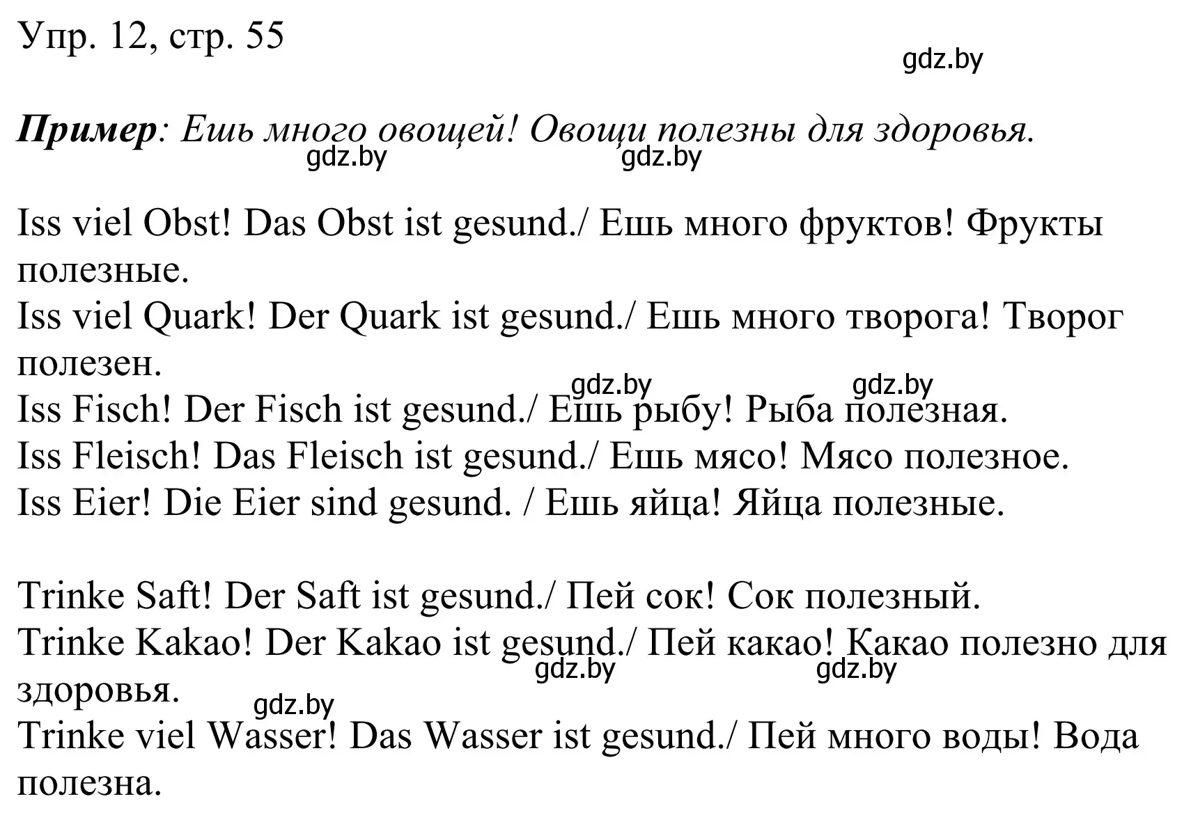 Решение номер 12 (страница 55) гдз по немецкому языку 6 класс Будько, Урбанович, рабочая тетрадь