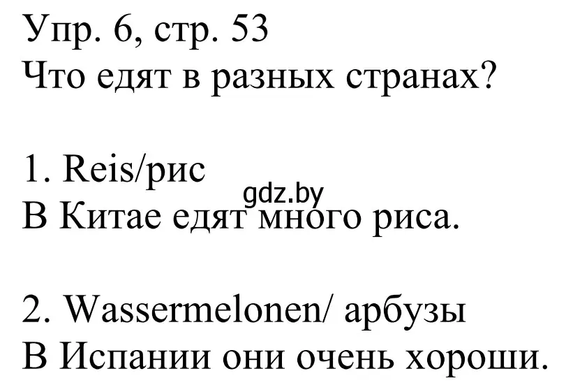 Решение номер 6 (страница 53) гдз по немецкому языку 6 класс Будько, Урбанович, рабочая тетрадь