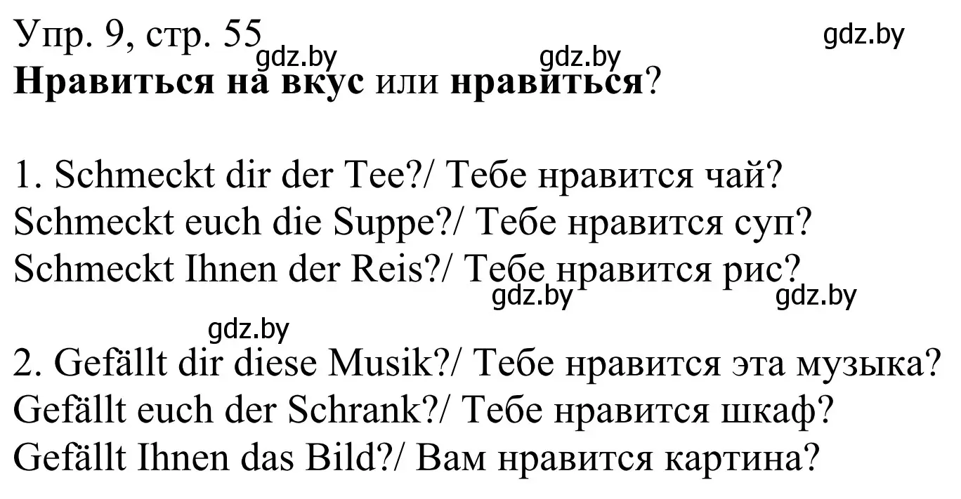 Решение номер 9 (страница 55) гдз по немецкому языку 6 класс Будько, Урбанович, рабочая тетрадь