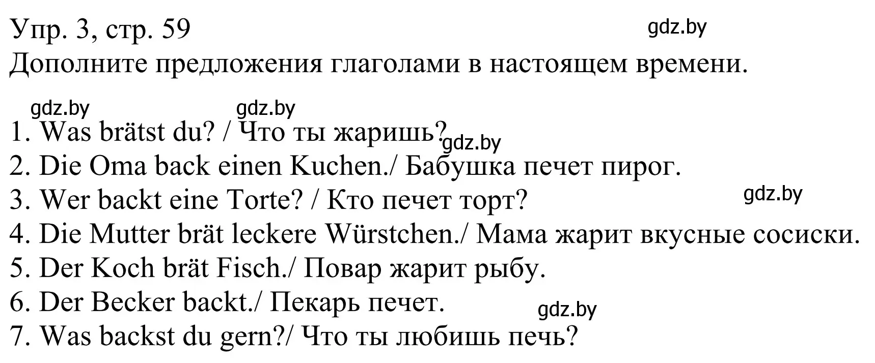 Решение номер 3 (страница 59) гдз по немецкому языку 6 класс Будько, Урбанович, рабочая тетрадь