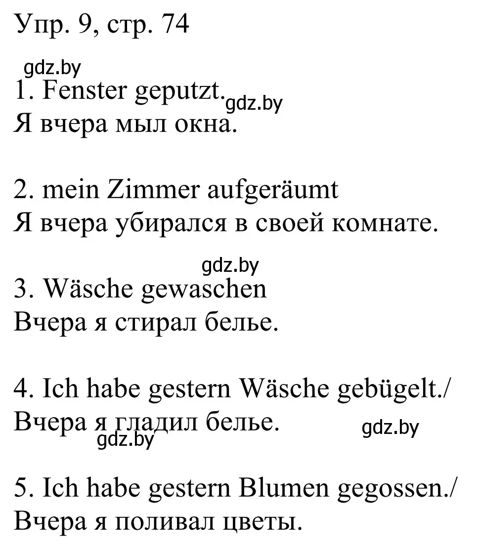 Решение номер 9 (страница 74) гдз по немецкому языку 6 класс Будько, Урбанович, рабочая тетрадь