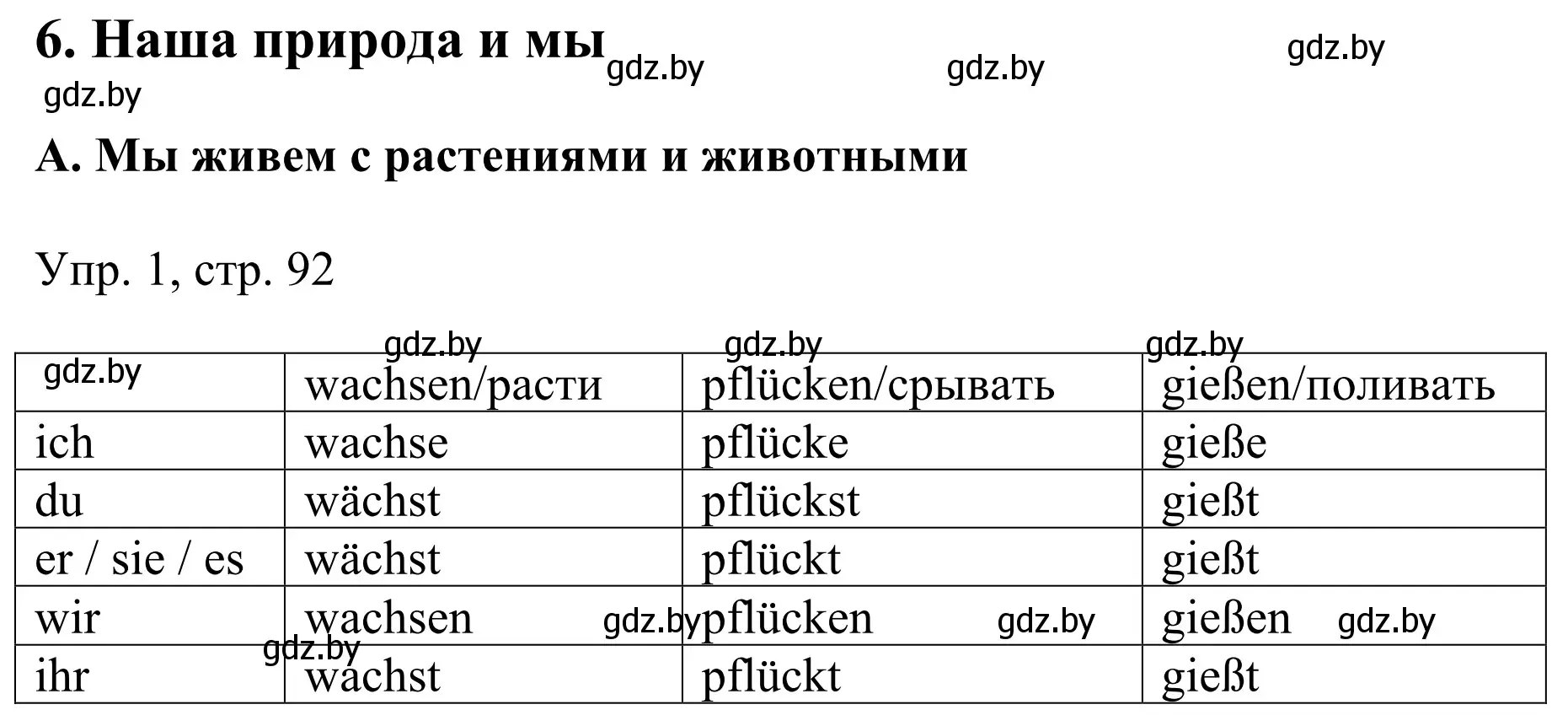 Решение номер 1 (страница 92) гдз по немецкому языку 6 класс Будько, Урбанович, рабочая тетрадь