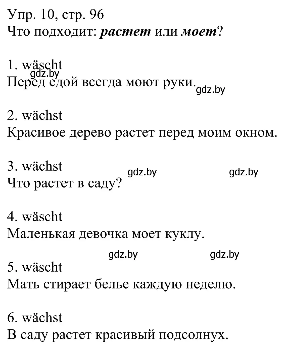 Решение номер 10 (страница 96) гдз по немецкому языку 6 класс Будько, Урбанович, рабочая тетрадь