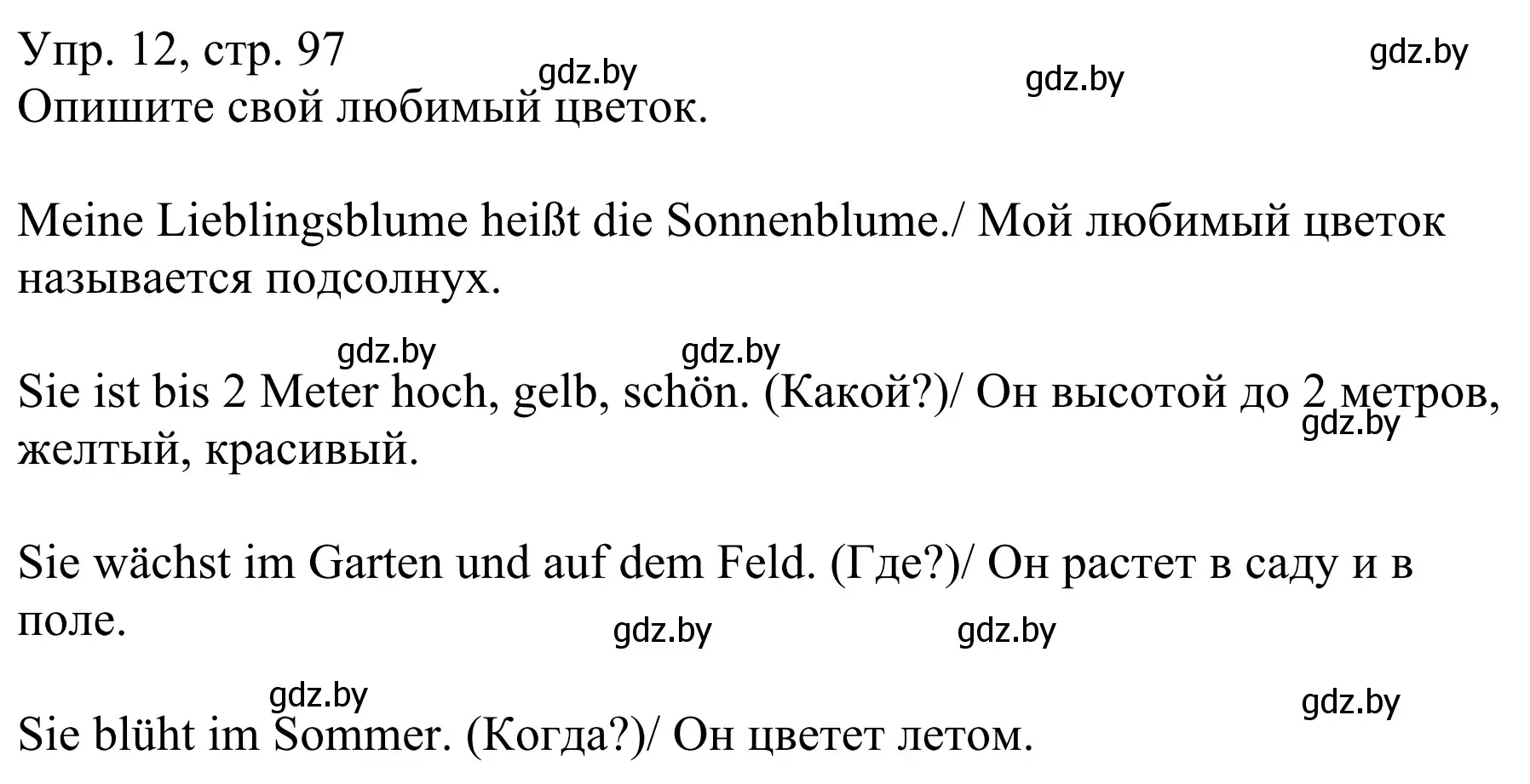 Решение номер 12 (страница 97) гдз по немецкому языку 6 класс Будько, Урбанович, рабочая тетрадь