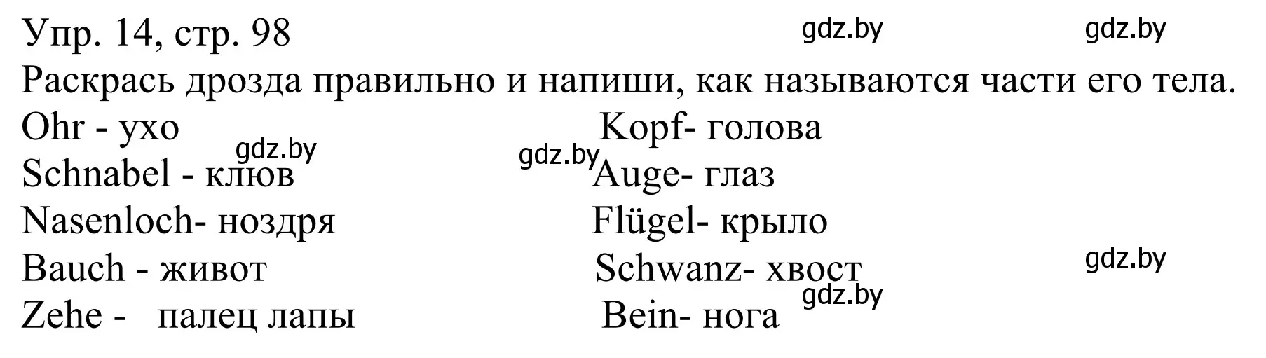 Решение номер 14 (страница 98) гдз по немецкому языку 6 класс Будько, Урбанович, рабочая тетрадь