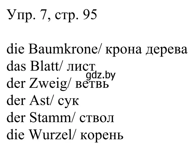 Решение номер 7 (страница 95) гдз по немецкому языку 6 класс Будько, Урбанович, рабочая тетрадь