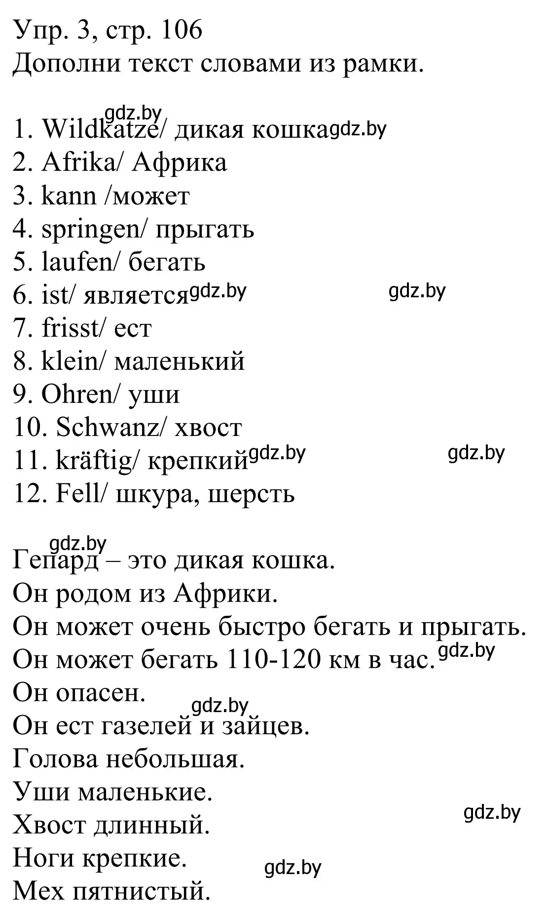 Решение номер 3 (страница 106) гдз по немецкому языку 6 класс Будько, Урбанович, рабочая тетрадь