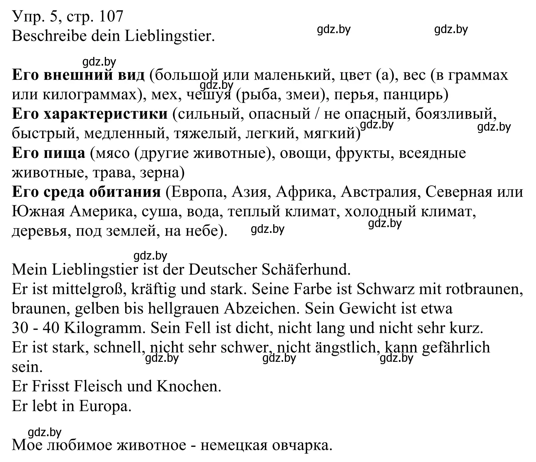 Решение номер 5 (страница 107) гдз по немецкому языку 6 класс Будько, Урбанович, рабочая тетрадь