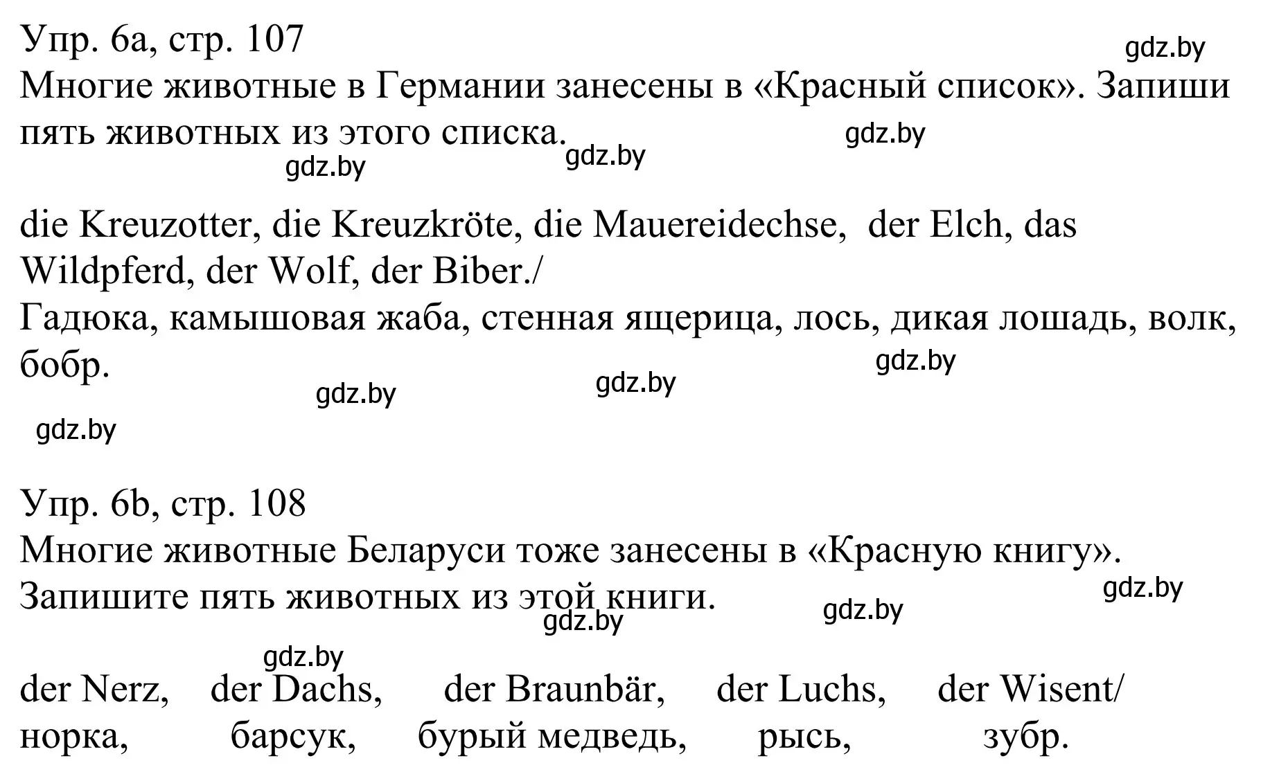 Решение номер 6 (страница 107) гдз по немецкому языку 6 класс Будько, Урбанович, рабочая тетрадь