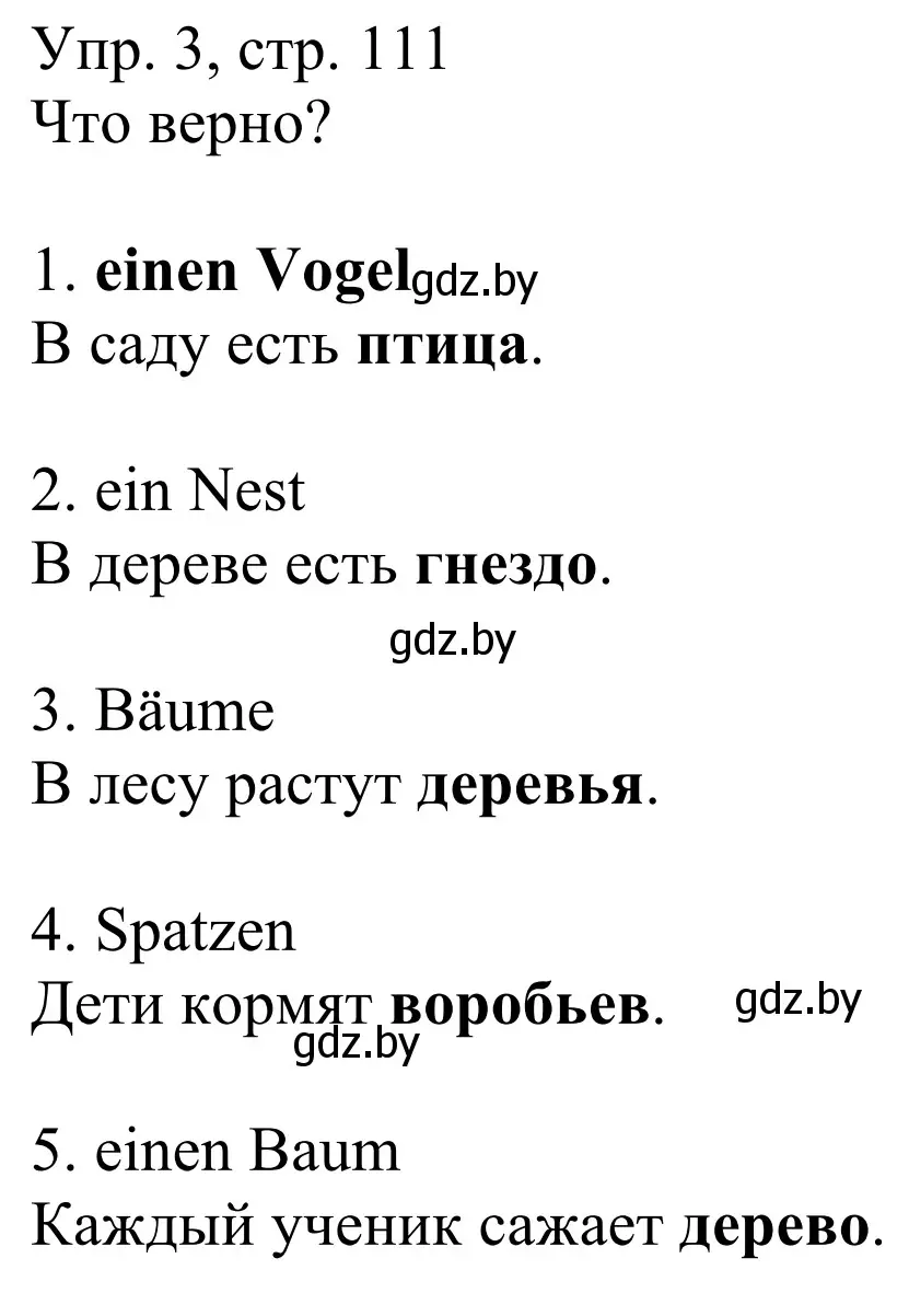 Решение номер 3 (страница 111) гдз по немецкому языку 6 класс Будько, Урбанович, рабочая тетрадь