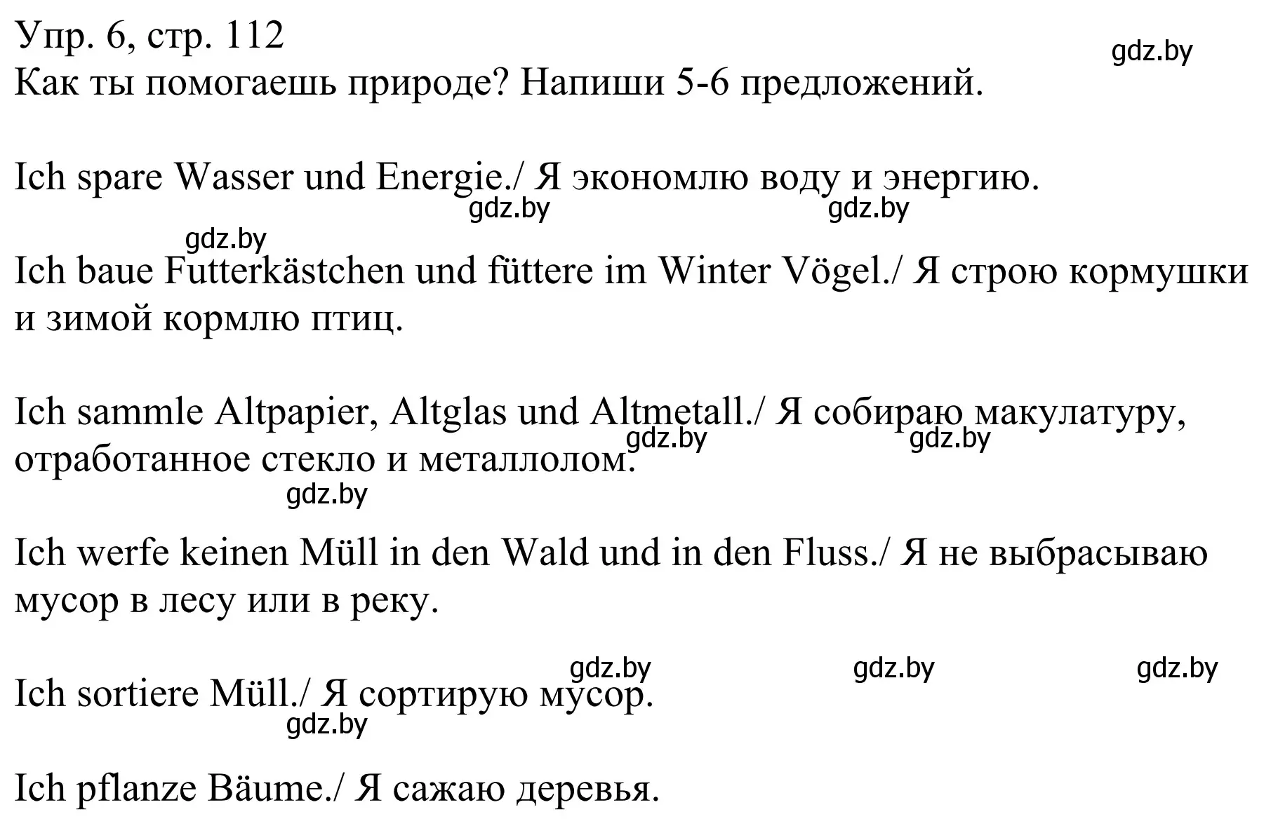 Решение номер 6 (страница 112) гдз по немецкому языку 6 класс Будько, Урбанович, рабочая тетрадь