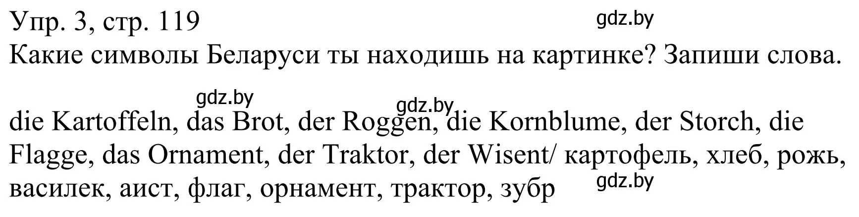 Решение номер 3 (страница 119) гдз по немецкому языку 6 класс Будько, Урбанович, рабочая тетрадь