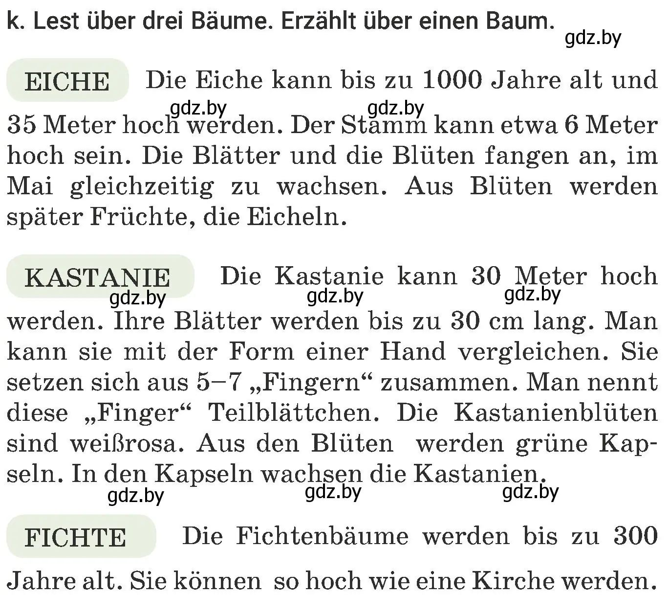 Условие номер 11 (страница 178) гдз по немецкому языку 6 класс Будько, Урбанович, учебник