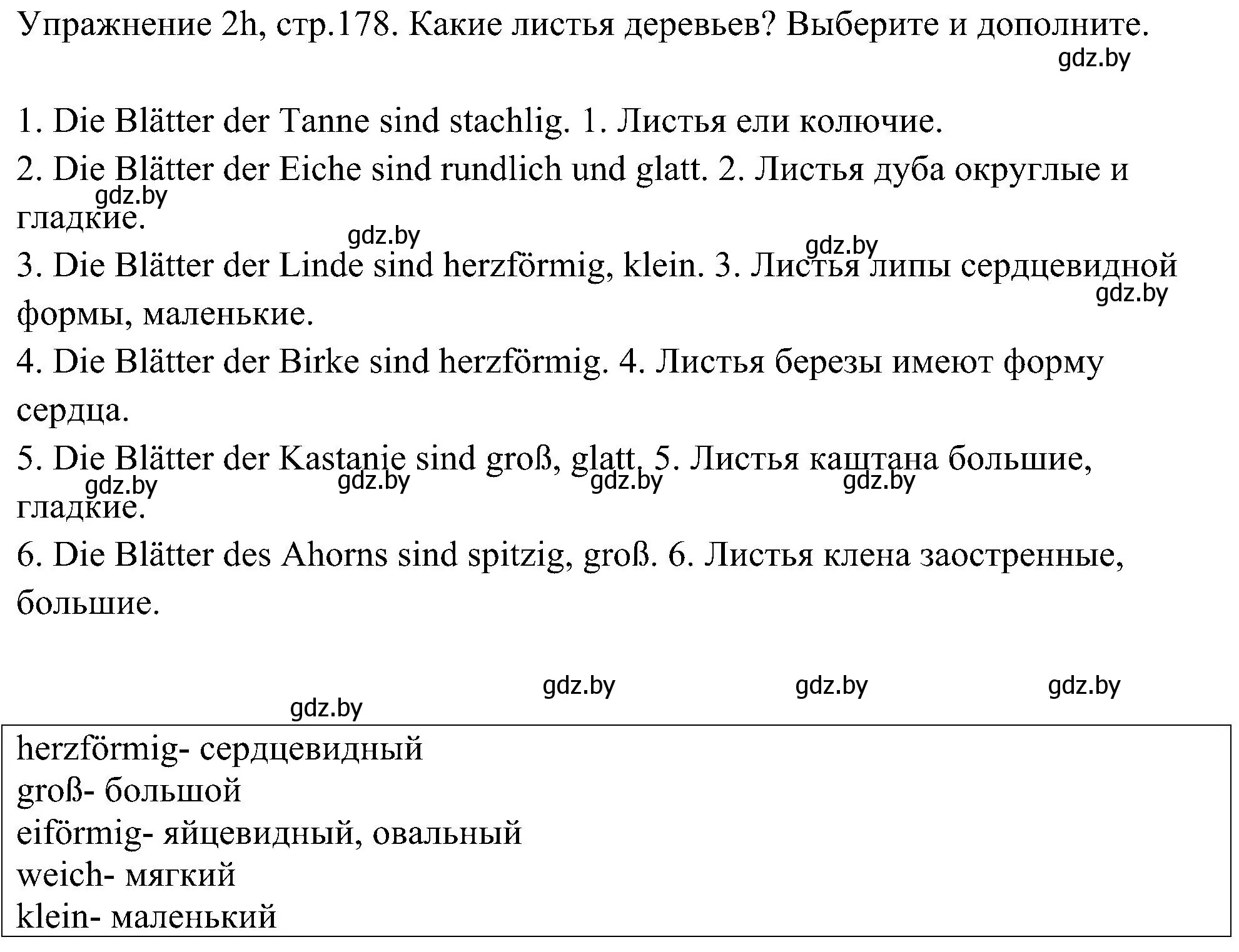 Решение номер 10 (страница 178) гдз по немецкому языку 6 класс Будько, Урбанович, учебник