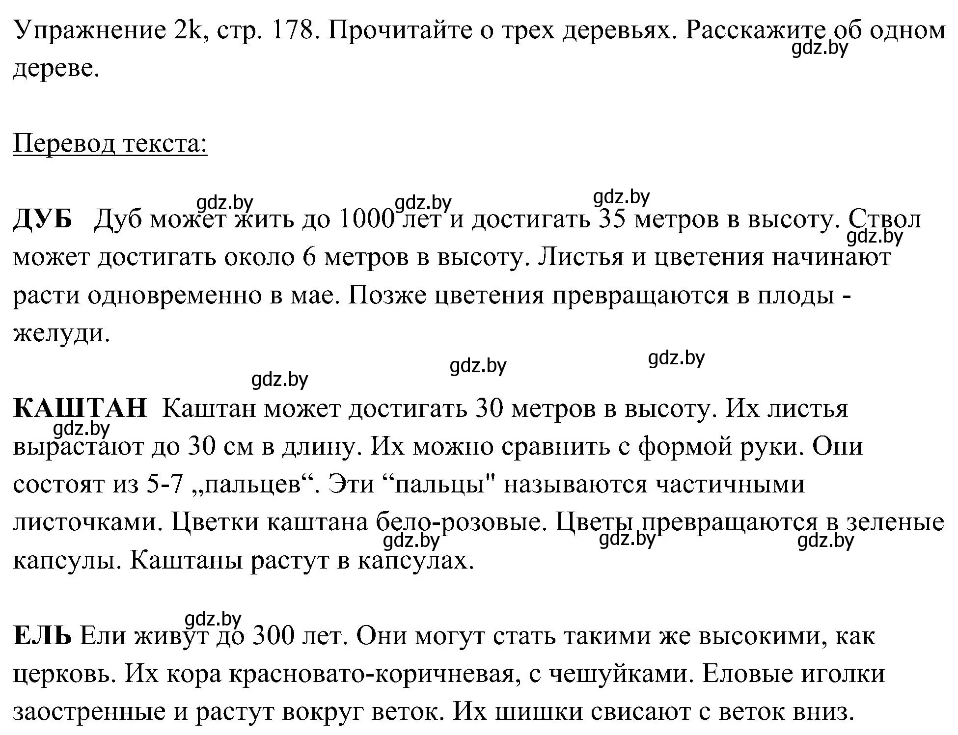 Решение номер 11 (страница 178) гдз по немецкому языку 6 класс Будько, Урбанович, учебник