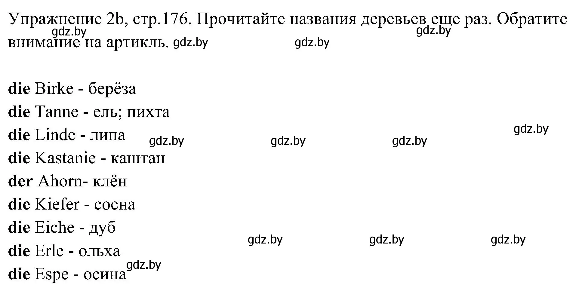 Решение номер 2 (страница 176) гдз по немецкому языку 6 класс Будько, Урбанович, учебник