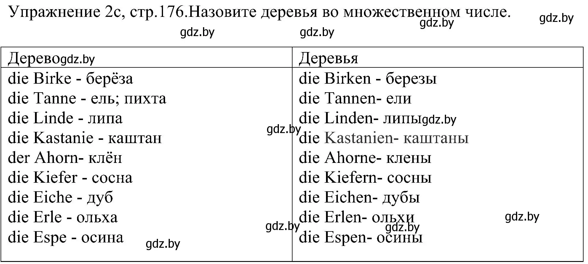 Решение номер 3 (страница 176) гдз по немецкому языку 6 класс Будько, Урбанович, учебник