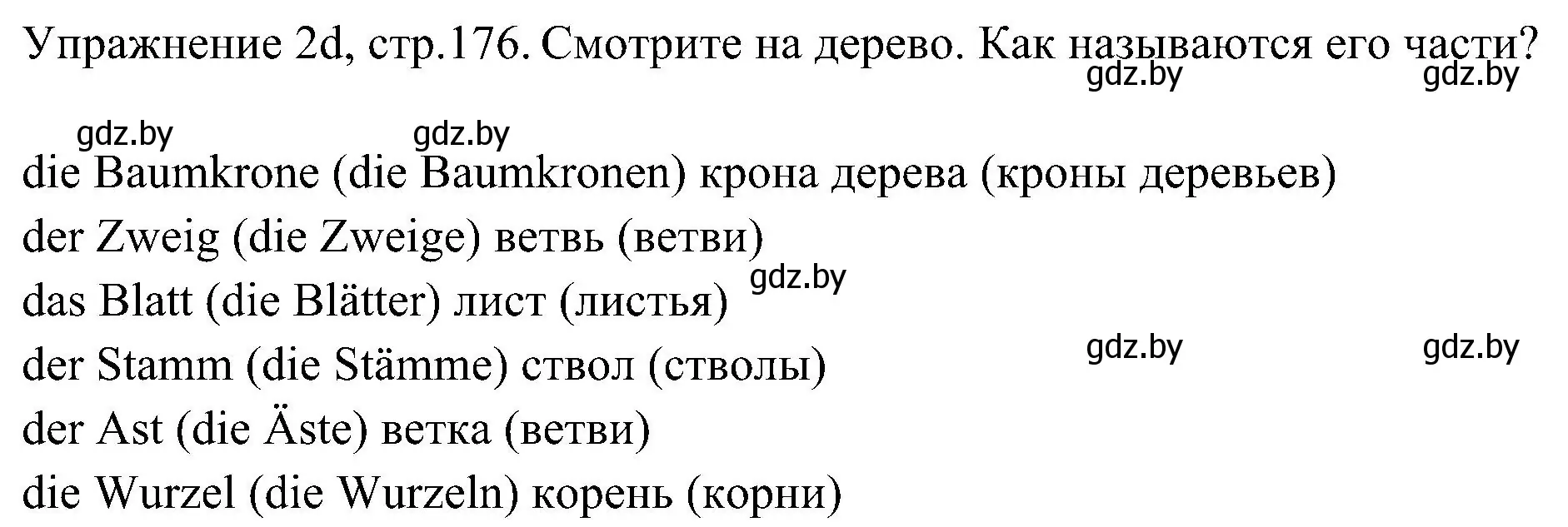 Решение номер 4 (страница 176) гдз по немецкому языку 6 класс Будько, Урбанович, учебник