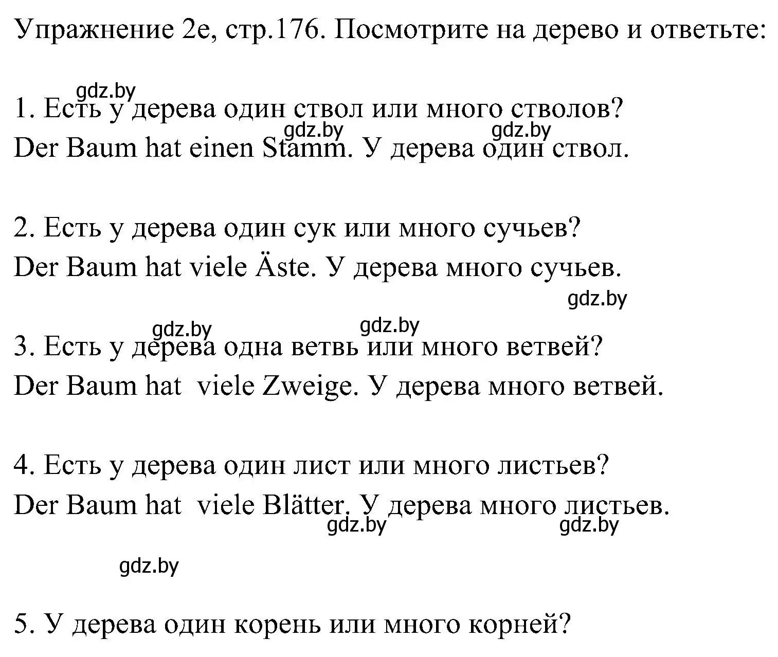 Решение номер 5 (страница 176) гдз по немецкому языку 6 класс Будько, Урбанович, учебник