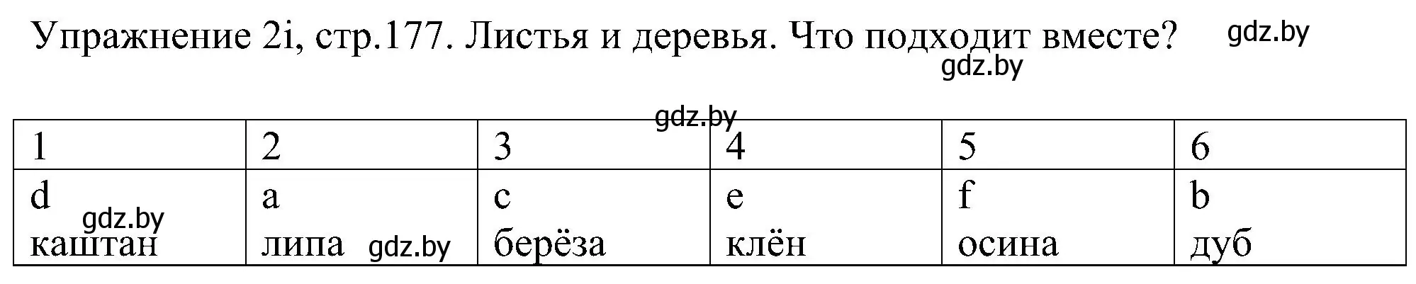 Решение номер 9 (страница 177) гдз по немецкому языку 6 класс Будько, Урбанович, учебник