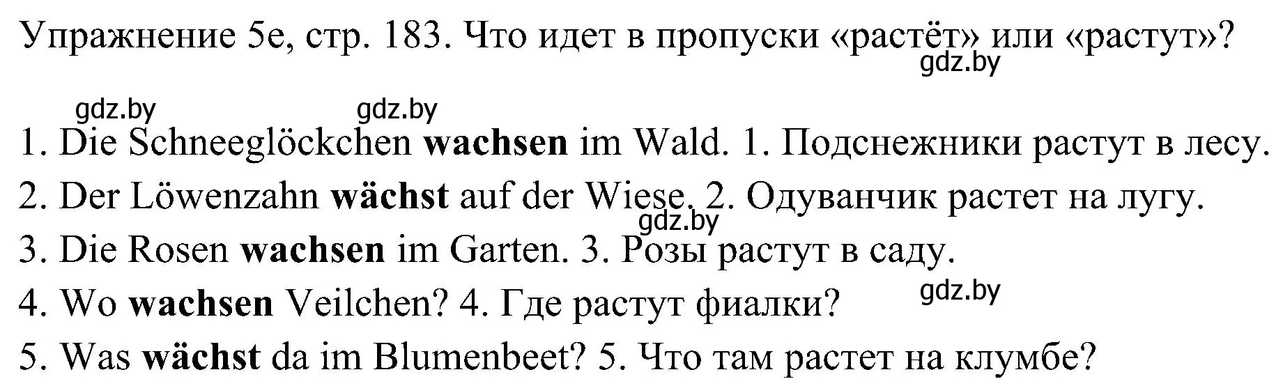 Решение номер 5 (страница 183) гдз по немецкому языку 6 класс Будько, Урбанович, учебник