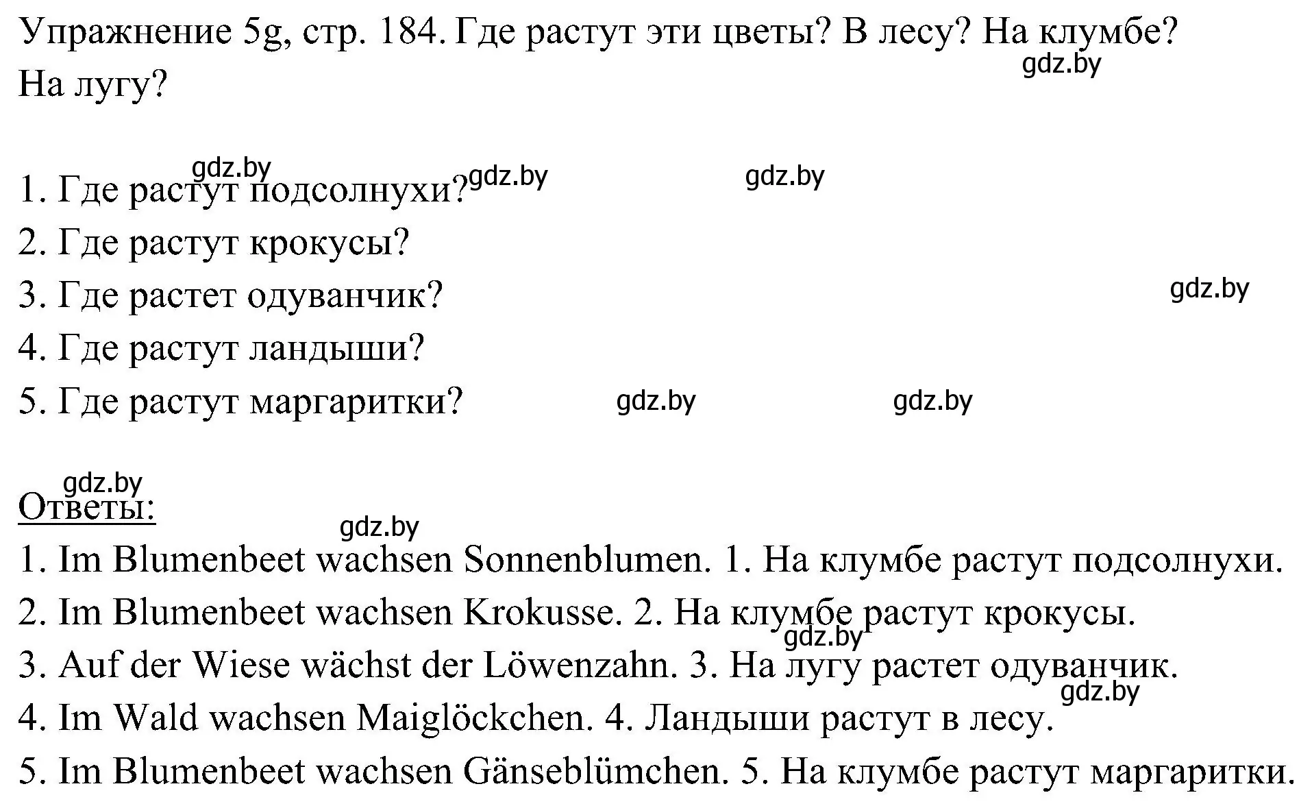 Решение номер 7 (страница 184) гдз по немецкому языку 6 класс Будько, Урбанович, учебник