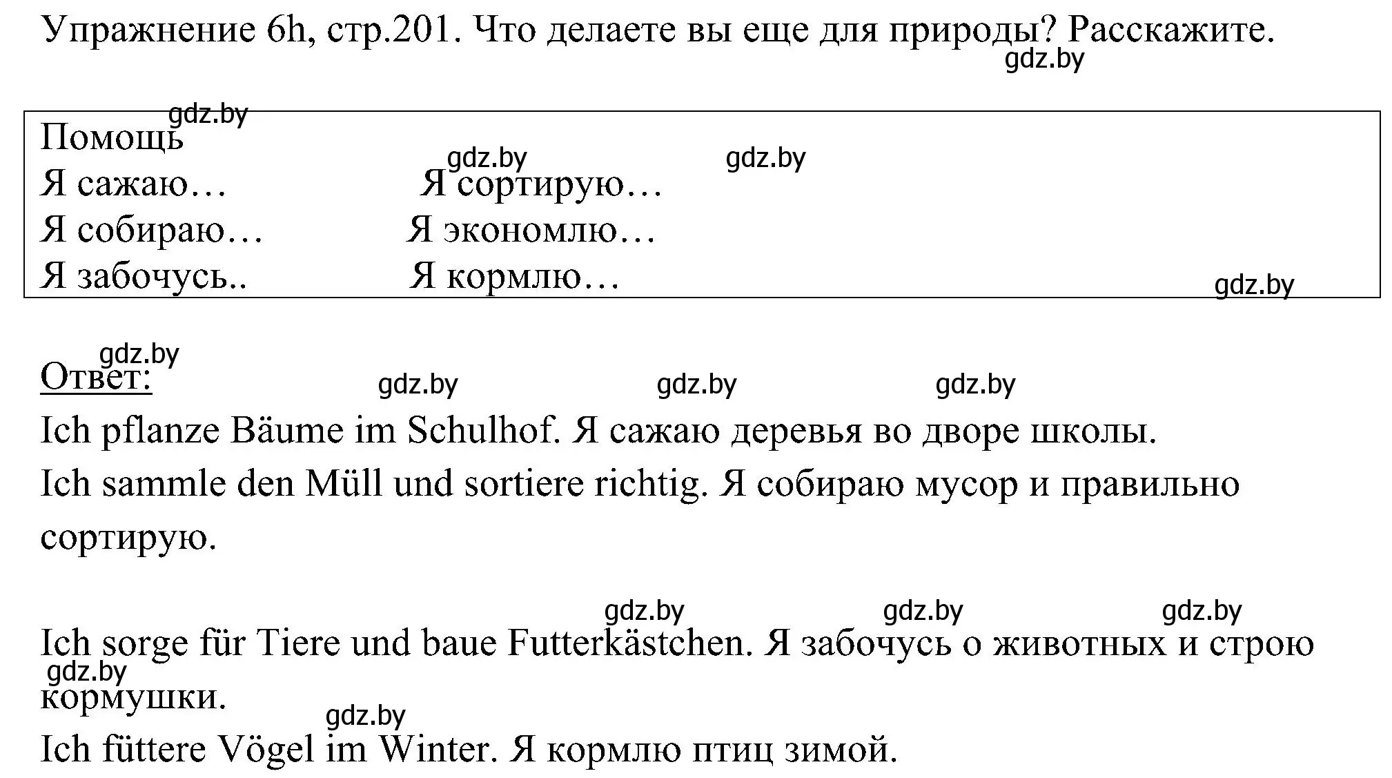 Решение номер 8 (страница 201) гдз по немецкому языку 6 класс Будько, Урбанович, учебник