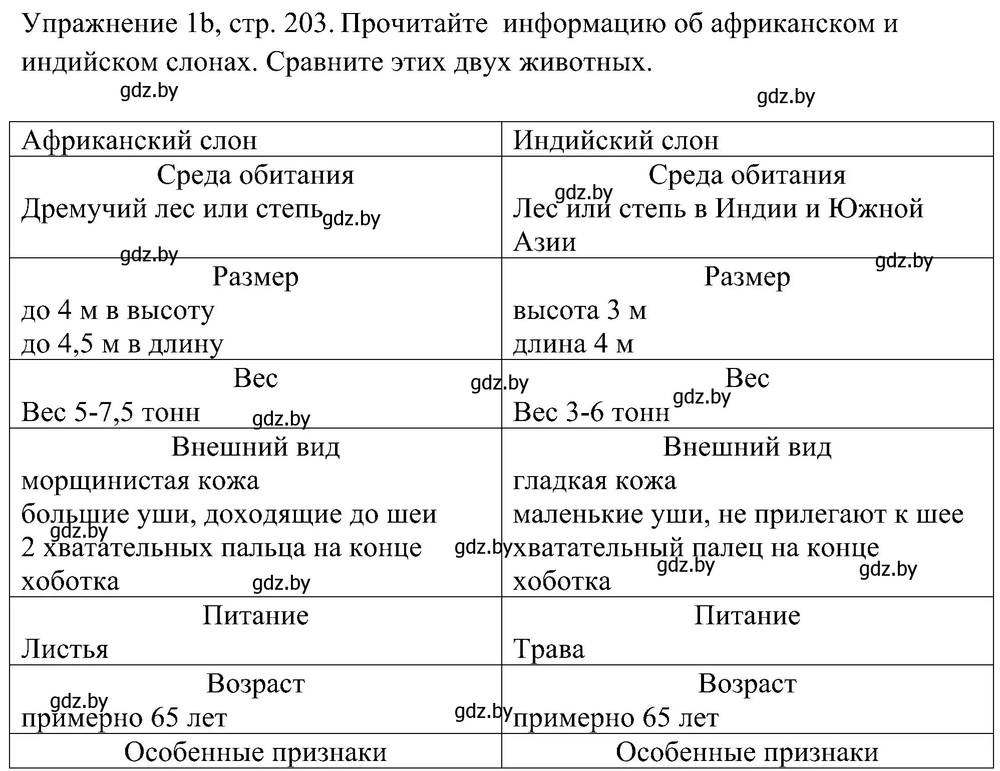 Решение номер 2 (страница 203) гдз по немецкому языку 6 класс Будько, Урбанович, учебник