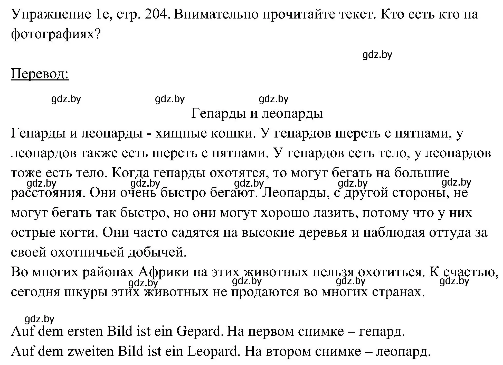 Решение номер 5 (страница 204) гдз по немецкому языку 6 класс Будько, Урбанович, учебник