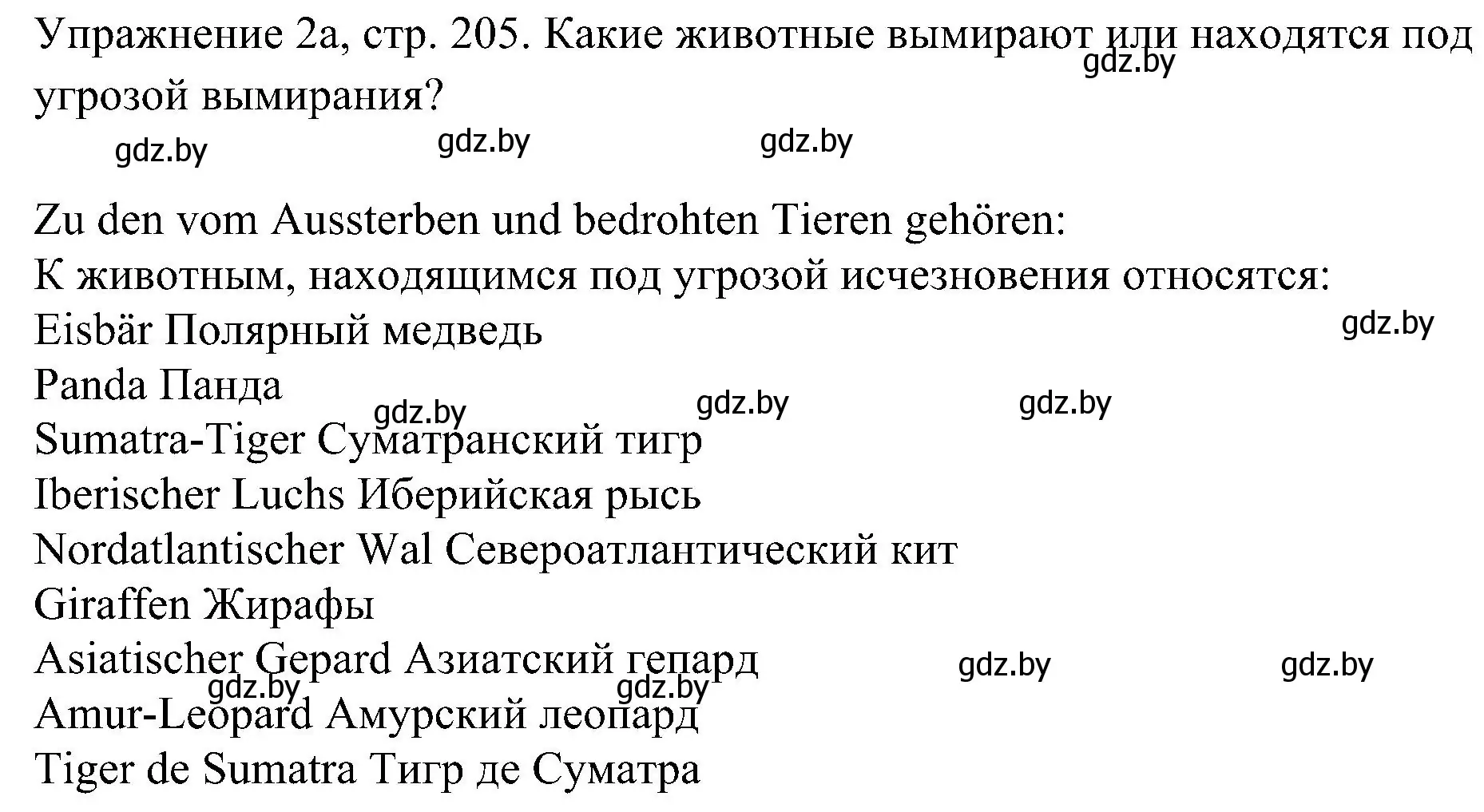 Решение номер 1 (страница 205) гдз по немецкому языку 6 класс Будько, Урбанович, учебник