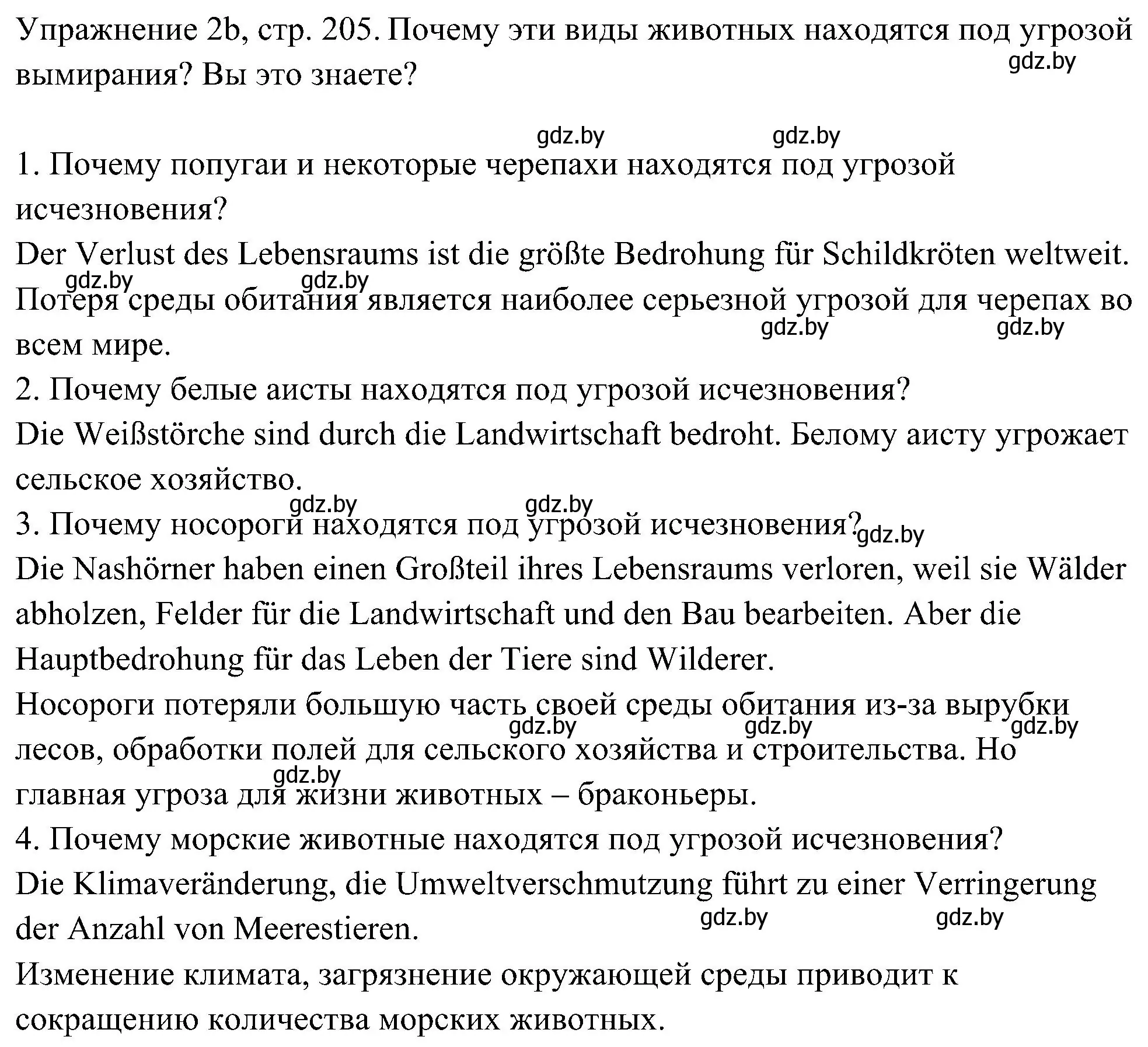 Решение номер 2 (страница 205) гдз по немецкому языку 6 класс Будько, Урбанович, учебник