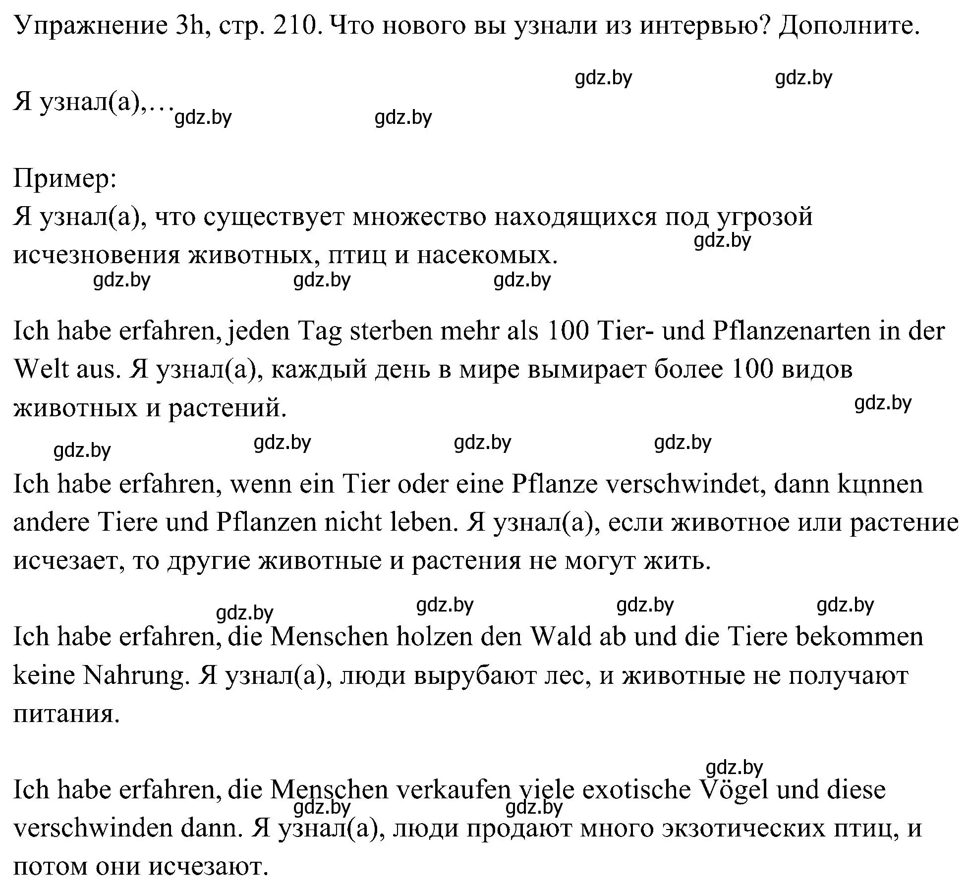 Решение номер 8 (страница 210) гдз по немецкому языку 6 класс Будько, Урбанович, учебник