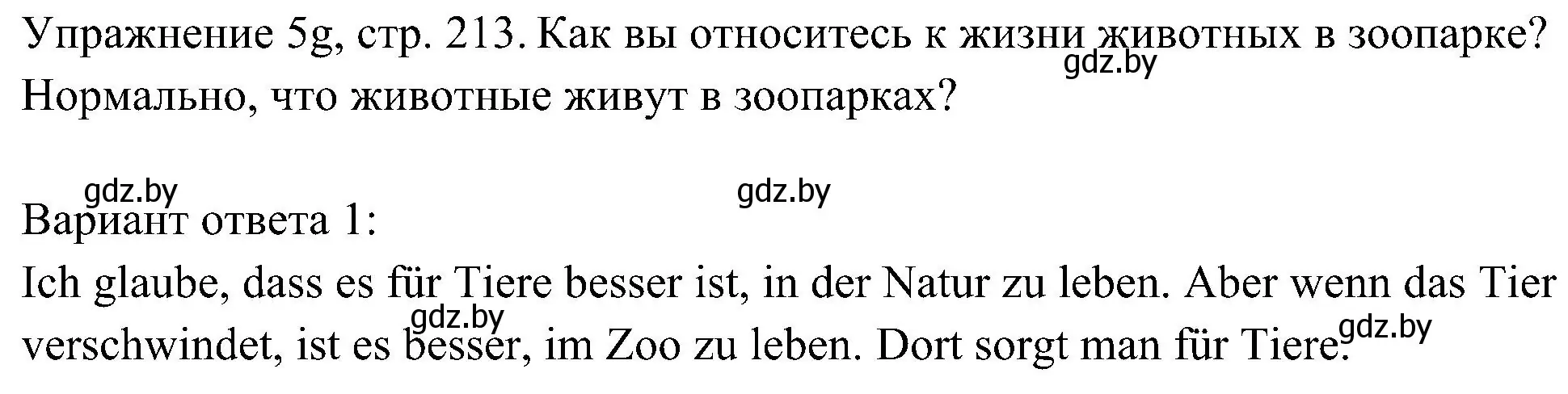 Решение номер 7 (страница 213) гдз по немецкому языку 6 класс Будько, Урбанович, учебник