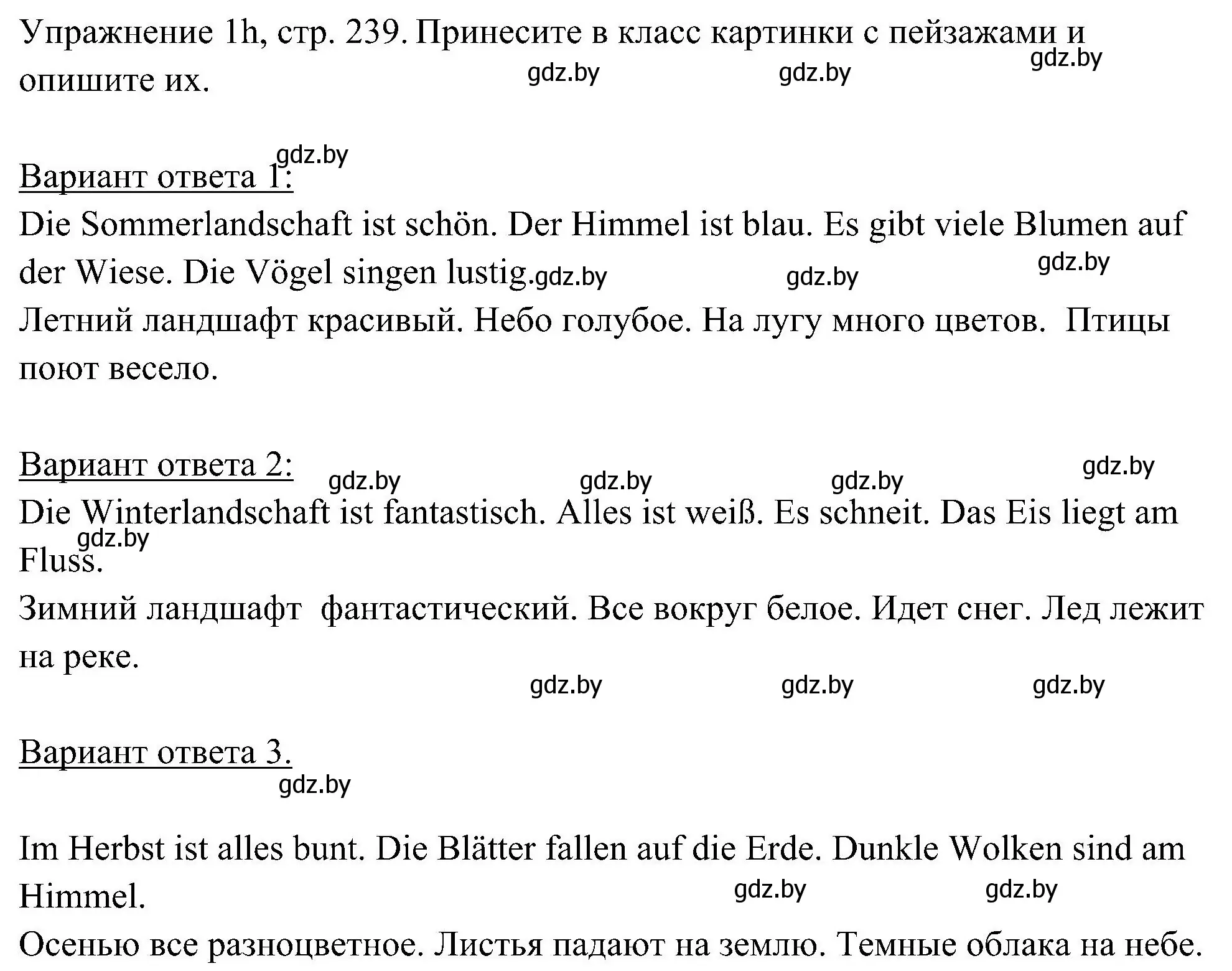 Решение номер 8 (страница 239) гдз по немецкому языку 6 класс Будько, Урбанович, учебник