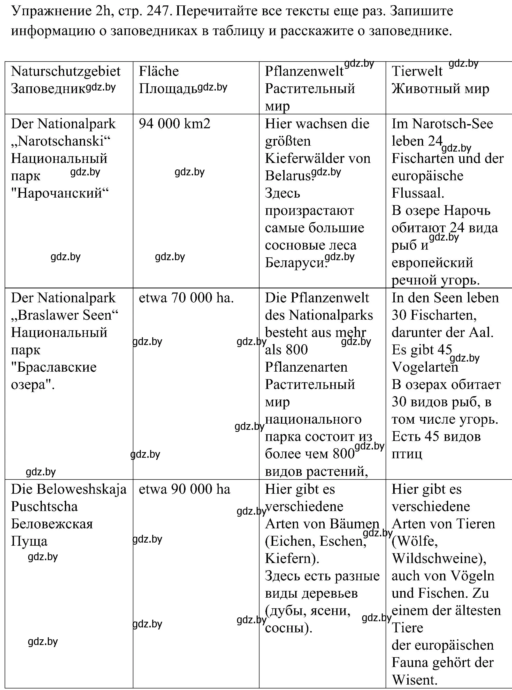 Решение номер 8 (страница 247) гдз по немецкому языку 6 класс Будько, Урбанович, учебник