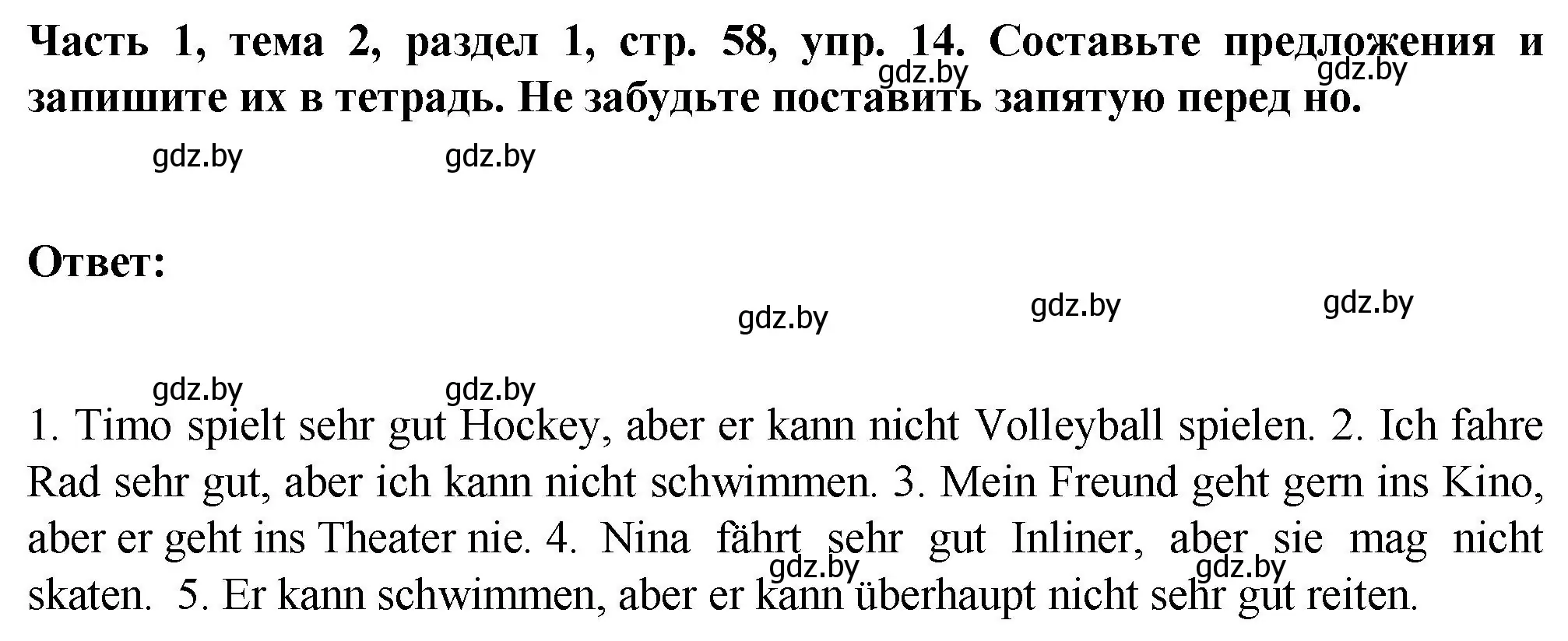 Решение номер 14 (страница 58) гдз по немецкому языку 6 класс Зуевская, Салынская, учебник 1 часть