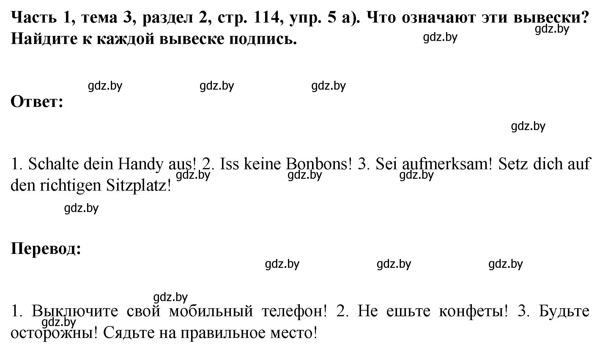 Решение номер 5 (страница 114) гдз по немецкому языку 6 класс Зуевская, Салынская, учебник 1 часть