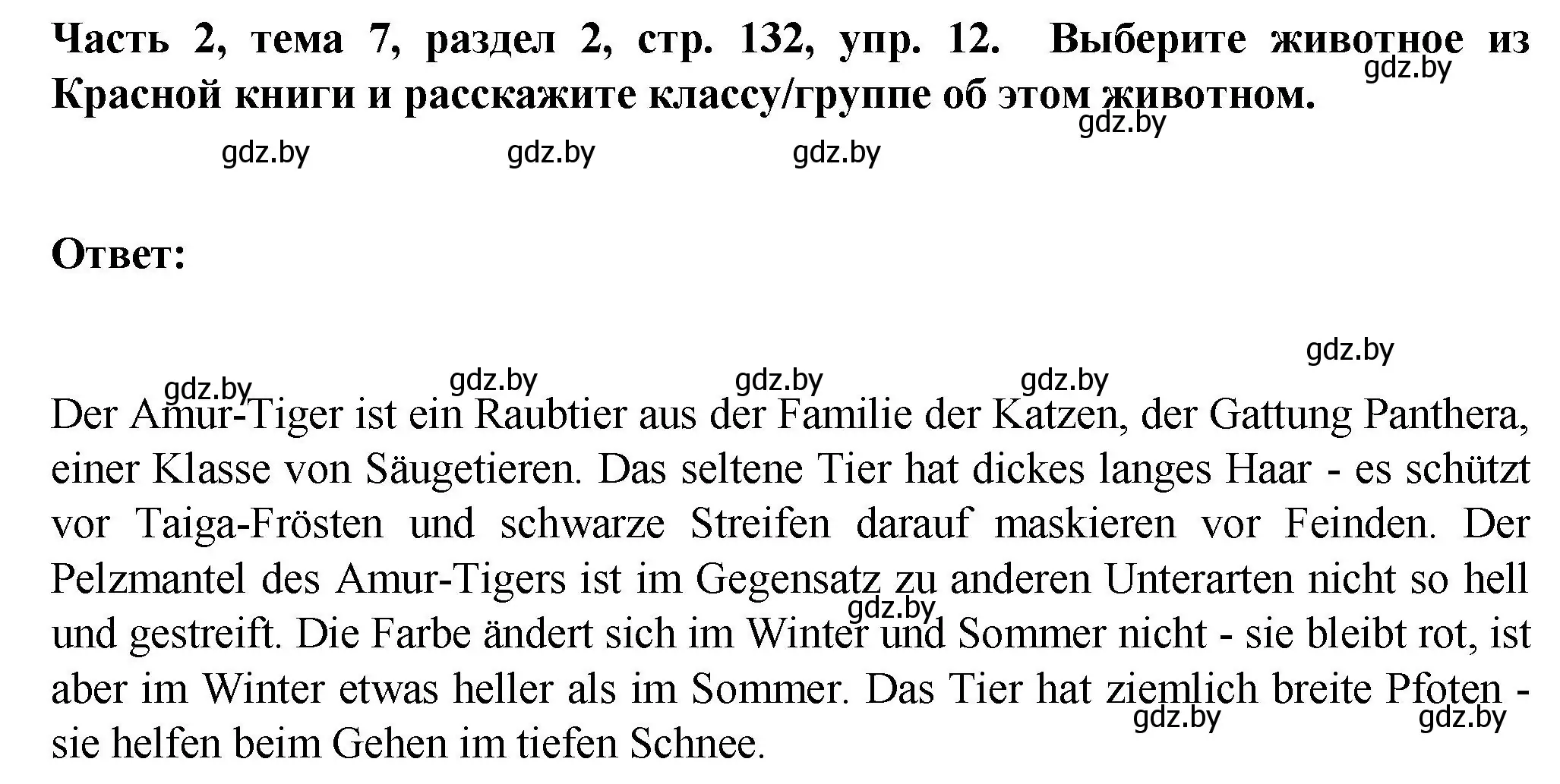 Решение номер 12 (страница 132) гдз по немецкому языку 6 класс Зуевская, Салынская, учебник 2 часть