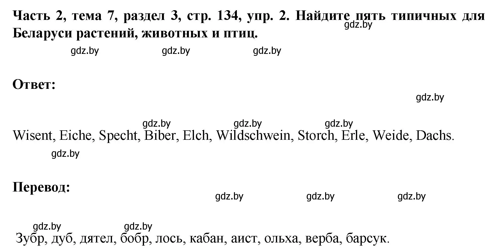 Решение номер 2 (страница 134) гдз по немецкому языку 6 класс Зуевская, Салынская, учебник 2 часть