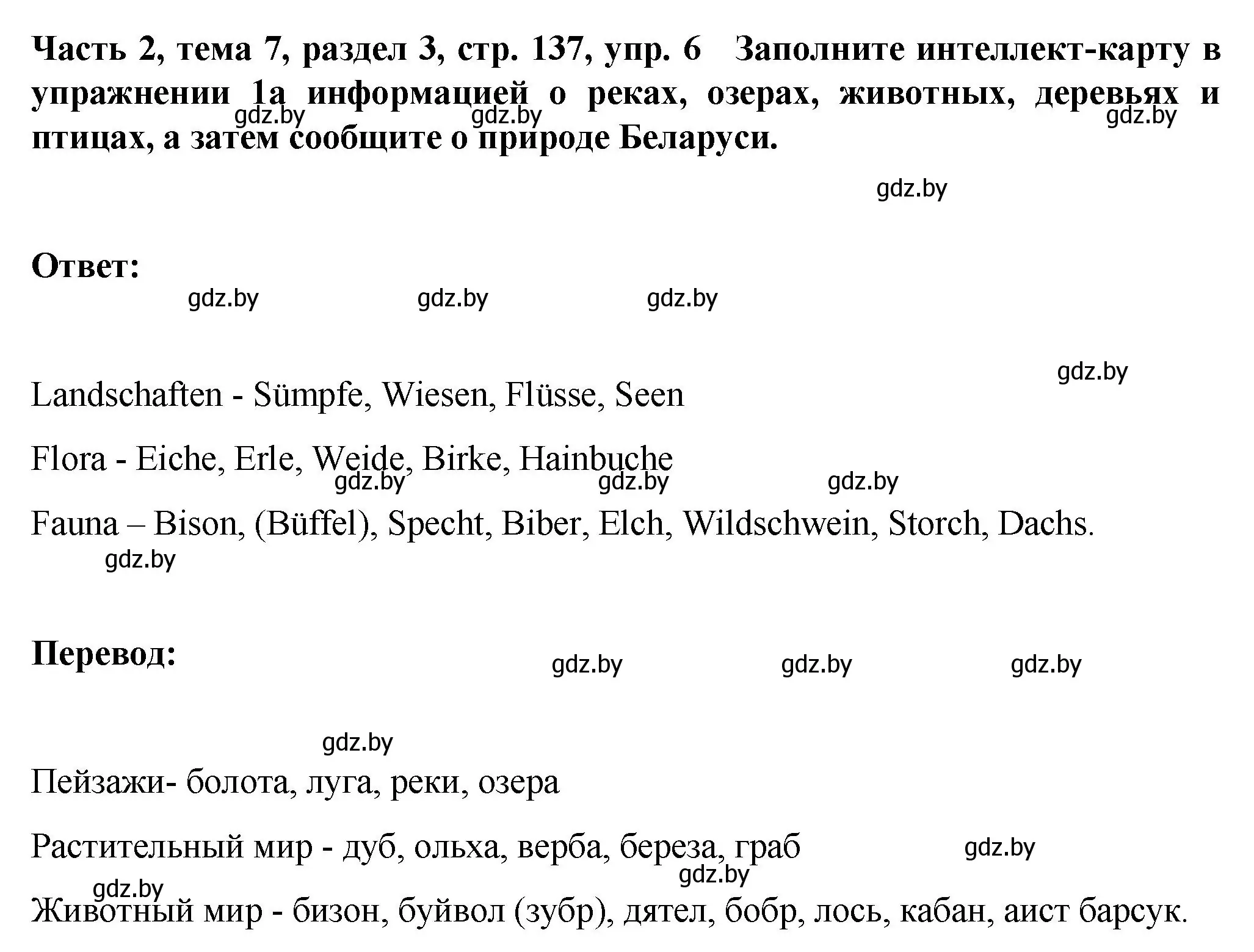 Решение номер 6 (страница 137) гдз по немецкому языку 6 класс Зуевская, Салынская, учебник 2 часть