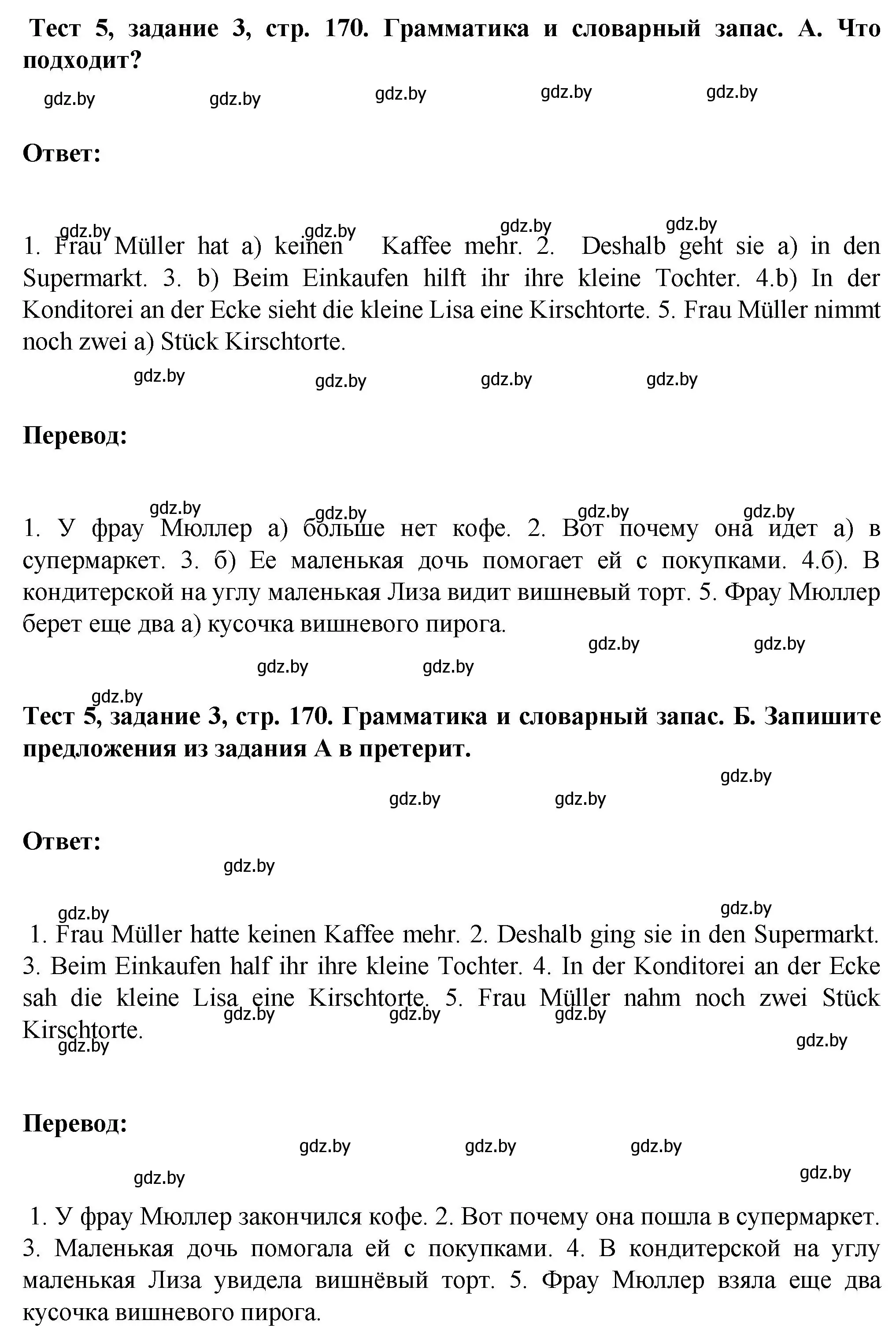 Решение номер 3 (страница 170) гдз по немецкому языку 6 класс Зуевская, Салынская, учебник 2 часть